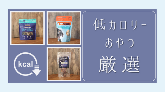 低カロリーで愛犬も喜ぶ!機能的おやつ
