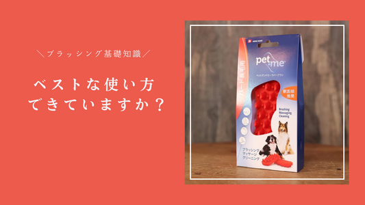 【ブラッシング】ラバーブラシ使うならこの方法!仕上がりが段違いになります