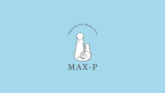 MAX-P パッケージリニューアルのお知らせ