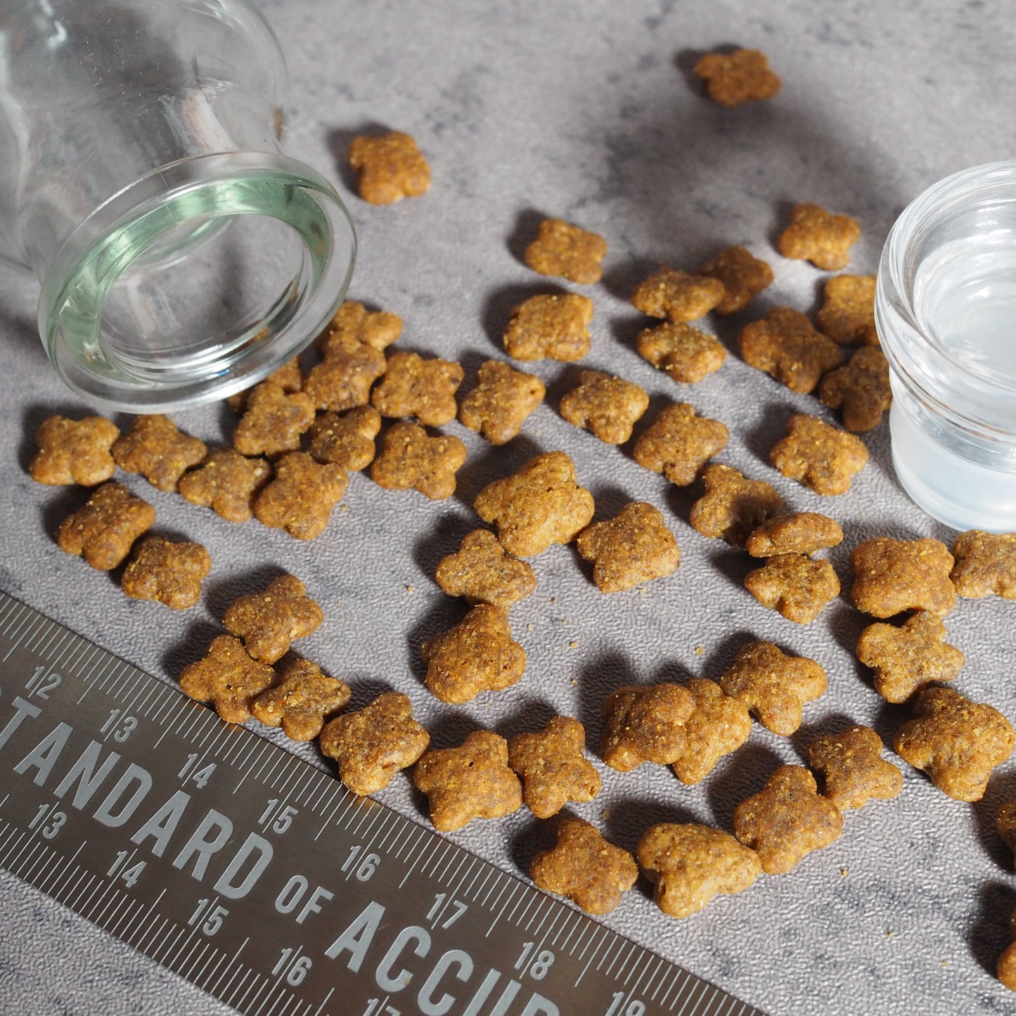 【now fresh】スモールブリード(小粒)シニア&ウェイトマネジメント