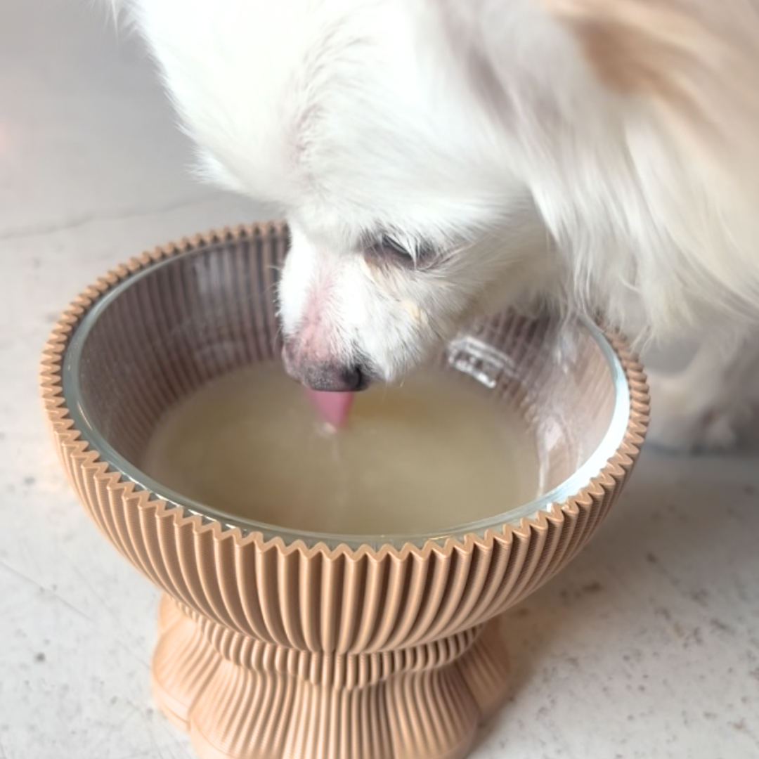 【Belii】Bone Broth Soup