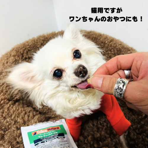【Feline Natural】チキン&ラム・フィースト