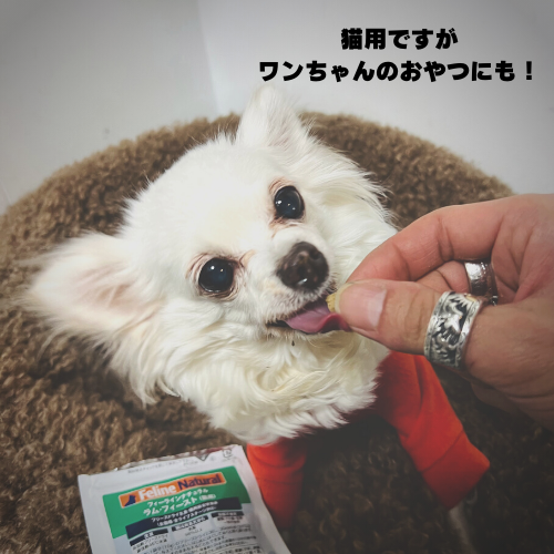 【Feline Natural】ラム・フィースト