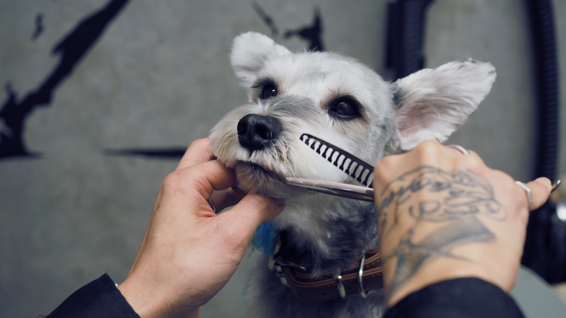 新年のご挨拶と毎年恒例のランキング発表