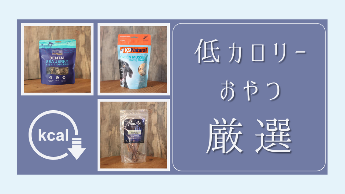 低カロリーで愛犬も喜ぶ！機能的おやつ