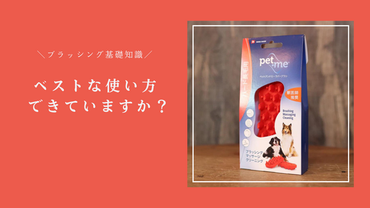 【ブラッシング】ラバーブラシ使うならこの方法！仕上がりが段違いになります