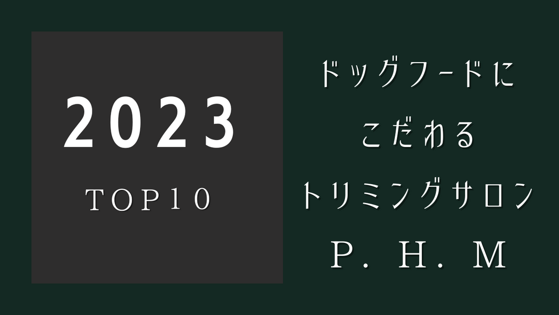 2023年 年間売上ランキングTOP10