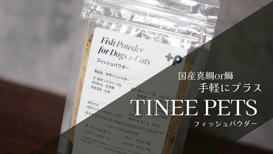 たまには楽したい、でも妥協もしたくない「大切な愛犬のご飯」