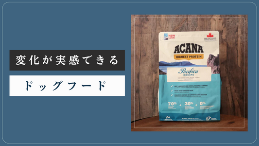 愛犬の体の変化を実感できる！【ACANA パシフィカ】