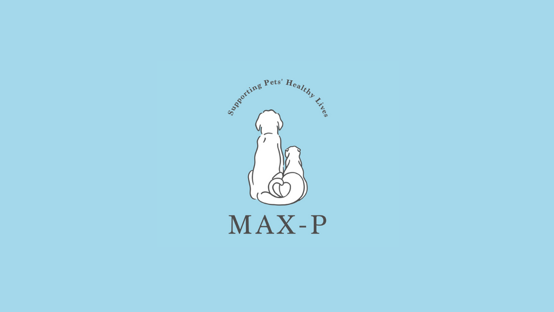 MAX-P パッケージリニューアルのお知らせ