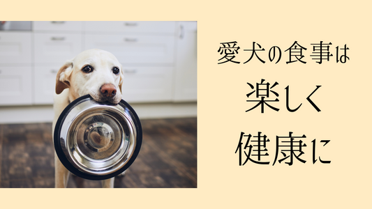 愛犬の食事に深く関係する飼い主の感情とは？