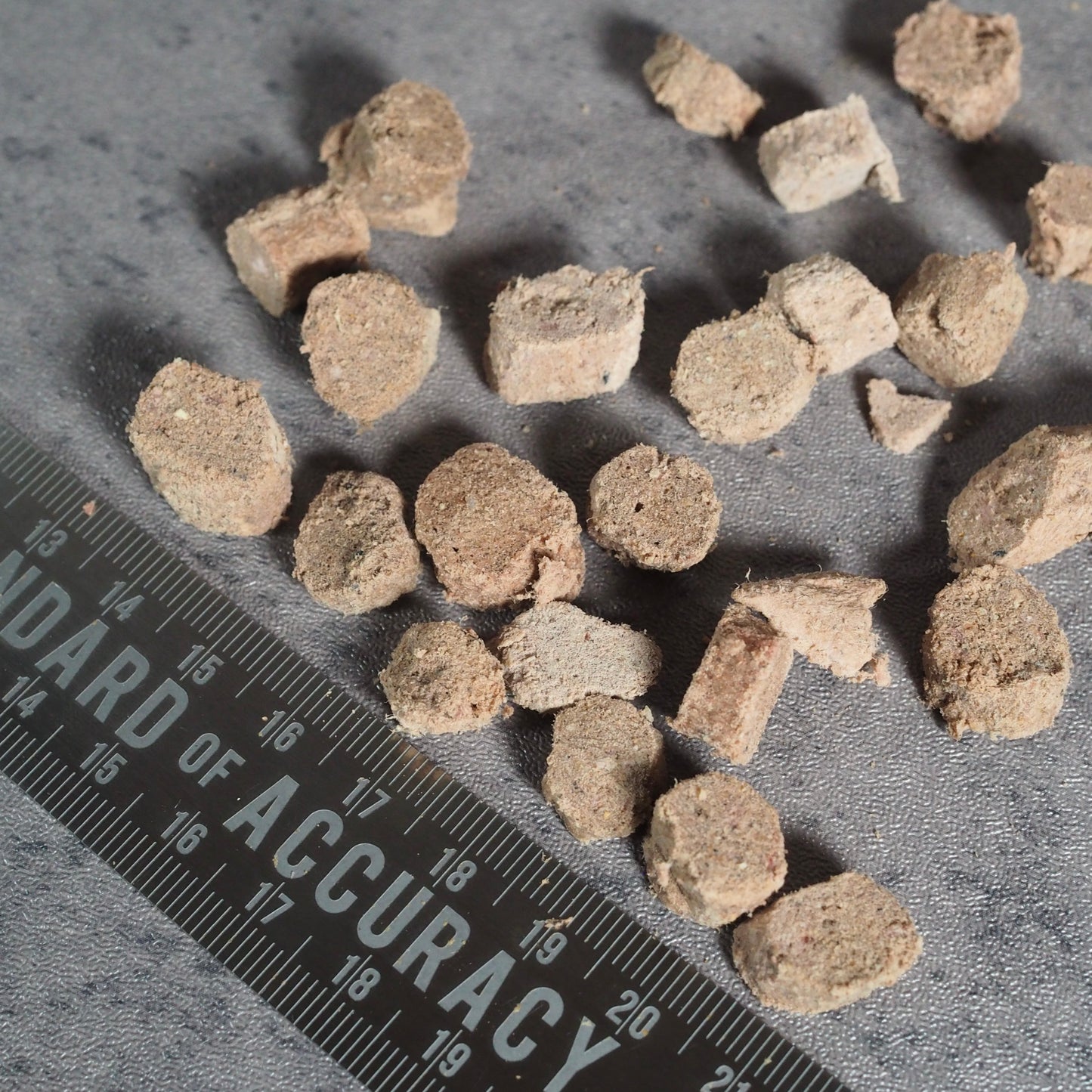 【KIWI Kitchens】ラムディナー《フリーズドライ》