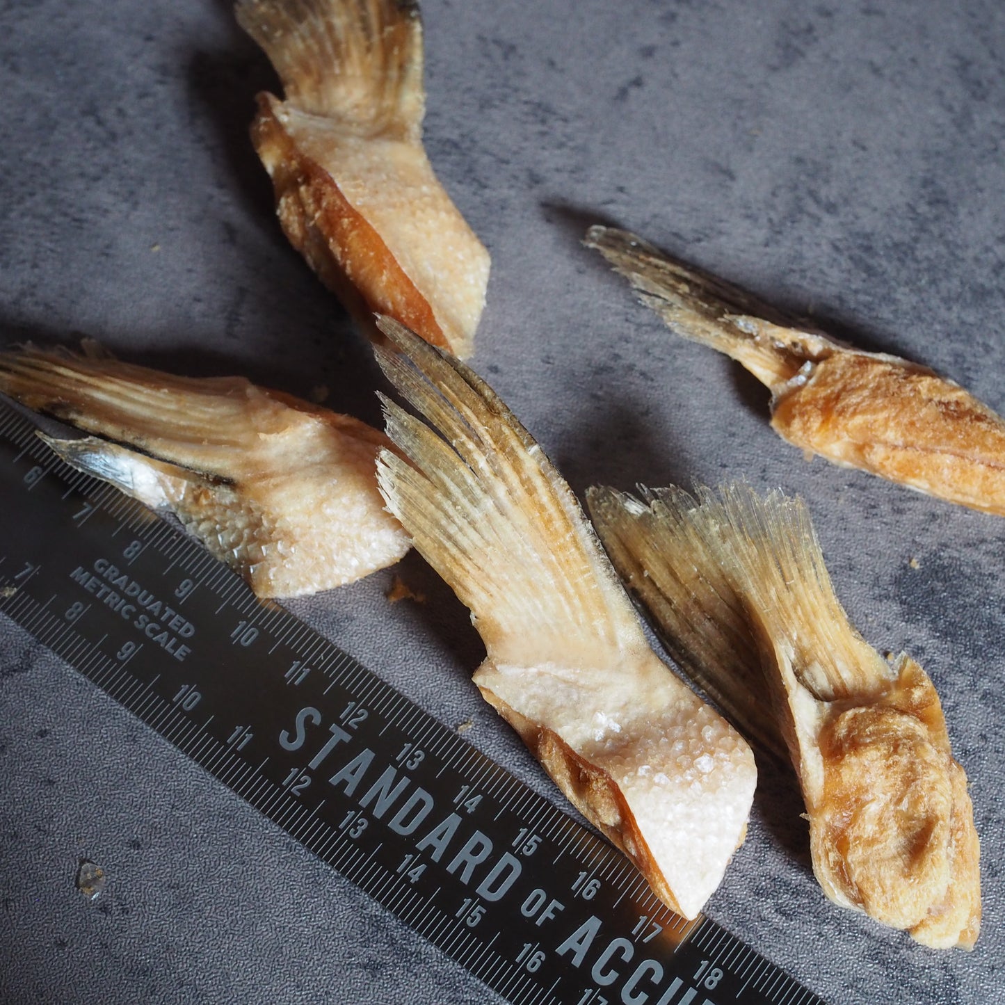 【GOURMATE】アルパインサーモン