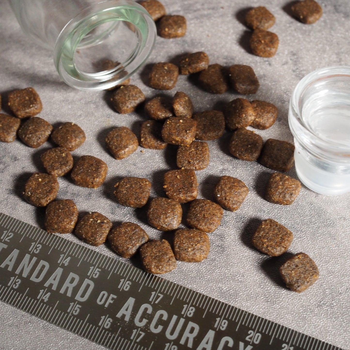 【AATU】サーモン